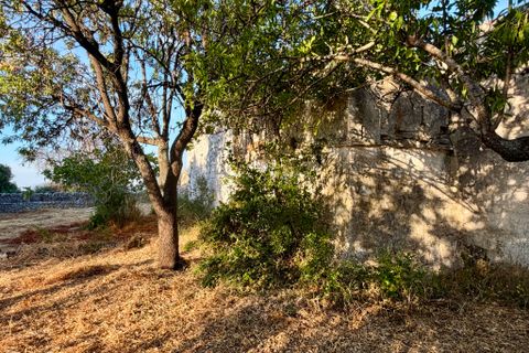 Landejendom i Cisternino, Brindisi, Cisternino - € 1.111.111 | Ref: 381 - foto 33